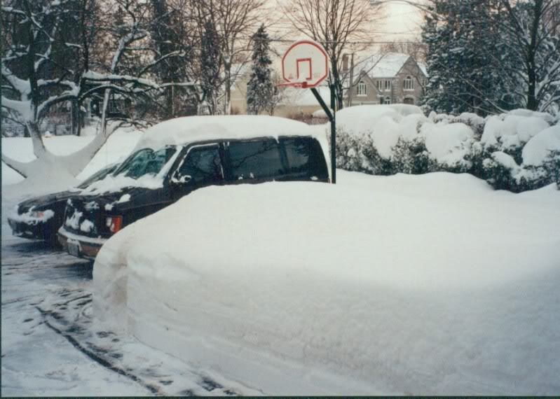 Name:  deepsnow.jpg
Views: 238
Size:  80.6 KB