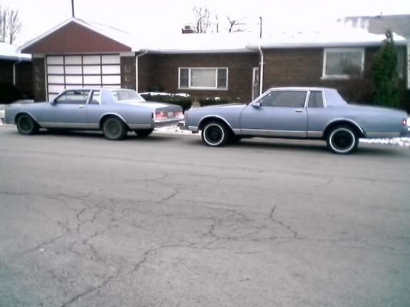 Name:  capricetwinz.jpg
Views: 777
Size:  30.6 KB