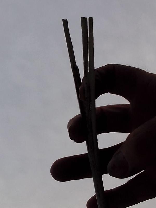Le Moose-cracked-antenna-tip.jpg