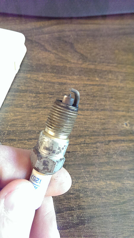 What's up with these spark plugs?-nnrbkbi.jpg