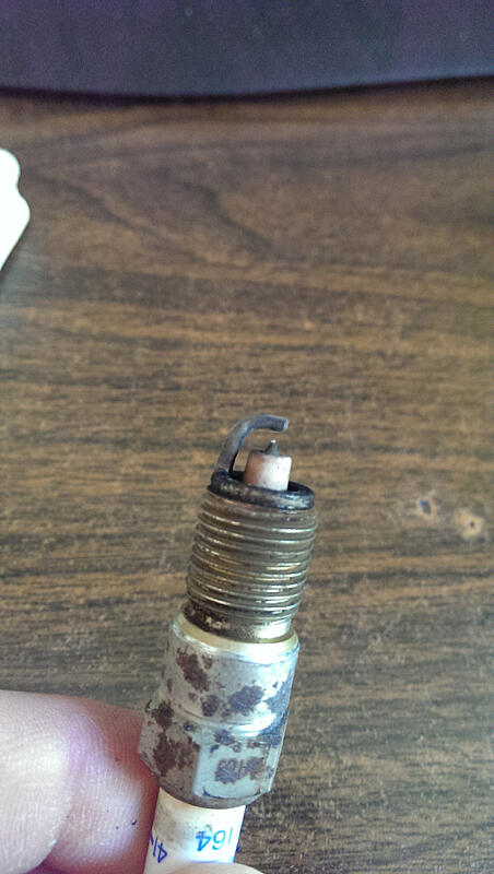What's up with these spark plugs?-qpphfp6.jpg