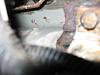 fuel tank gas leak-005.jpg