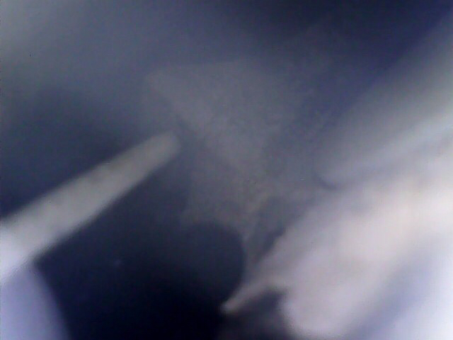 Name:  photo214.jpg
Views: 363
Size:  180.9 KB