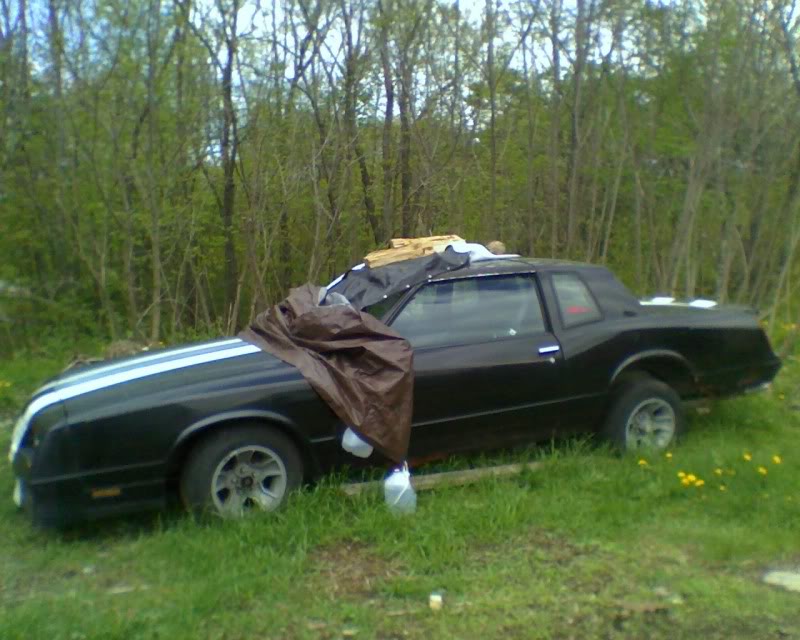 1988 monte carlo ss project chevrolet forum chevy enthusiasts forums 1988 monte carlo ss project chevrolet