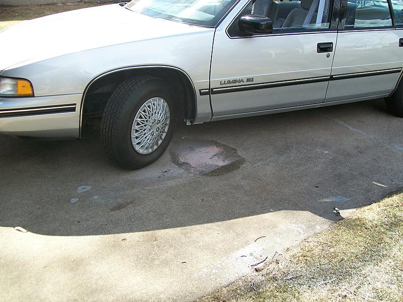 1990 Lumina-100_4418.jpg