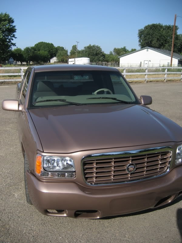 Name:  IMG_2375.jpg
Views: 80
Size:  92.9 KB