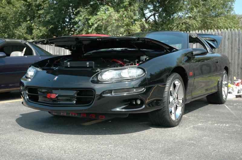 Name:  DSC_7200_JPG.jpg
Views: 26
Size:  97.0 KB