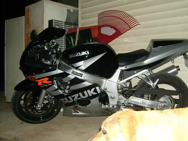 Name:  dagsandmyike009.jpg
Views: 26
Size:  56.1 KB