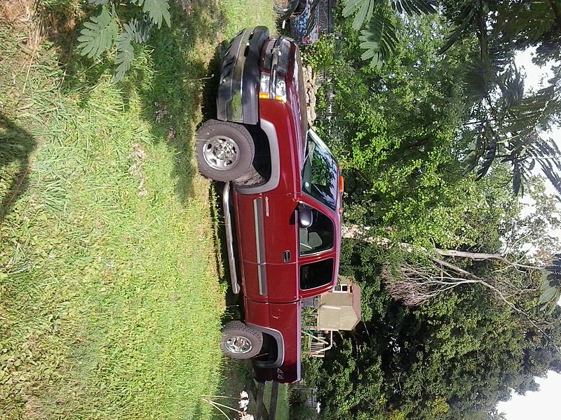 newbie here-160810_001.jpg