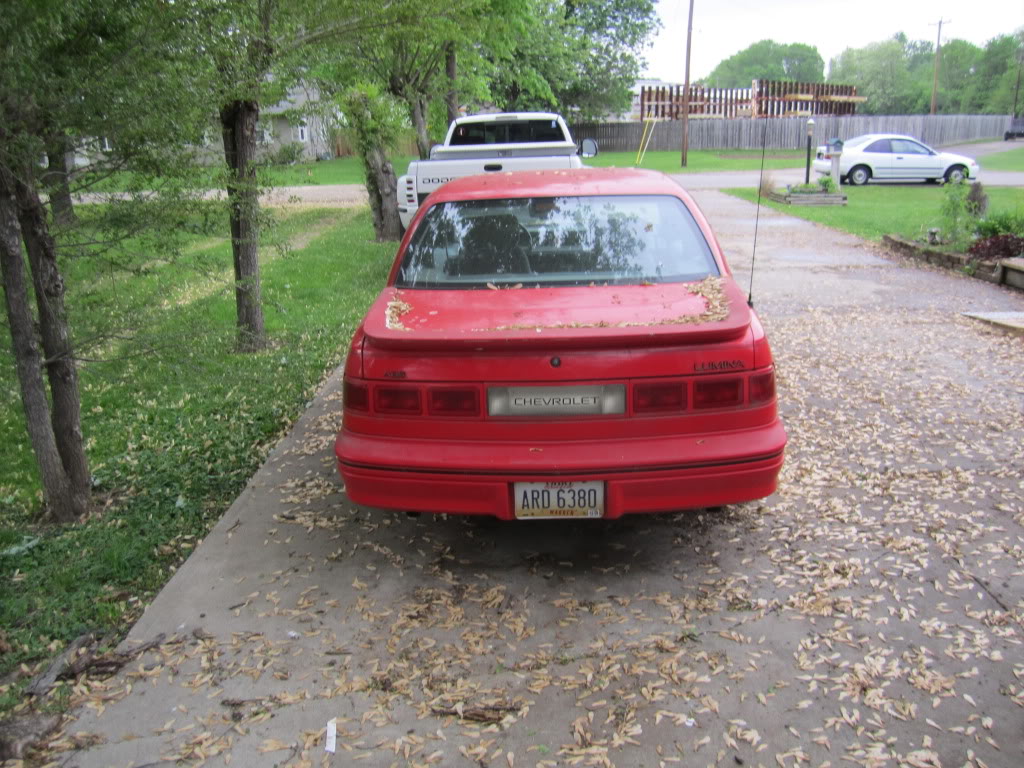 Name:  IMG_1022.jpg
Views: 730
Size:  182.1 KB