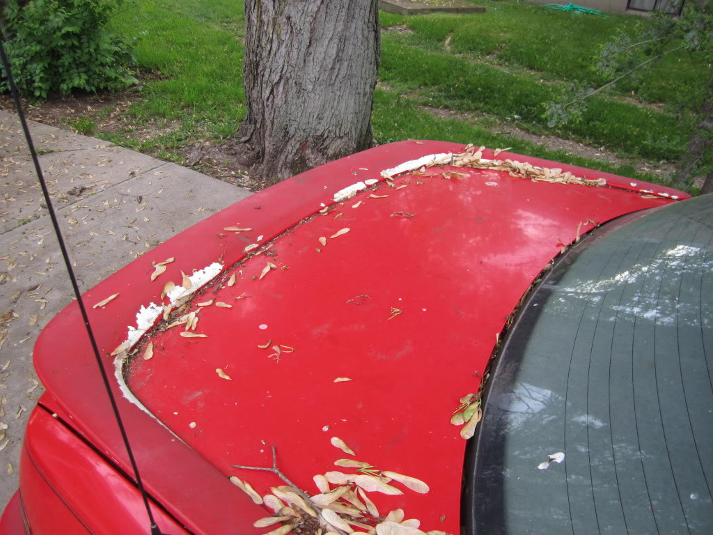 Name:  IMG_1023.jpg
Views: 513
Size:  165.1 KB