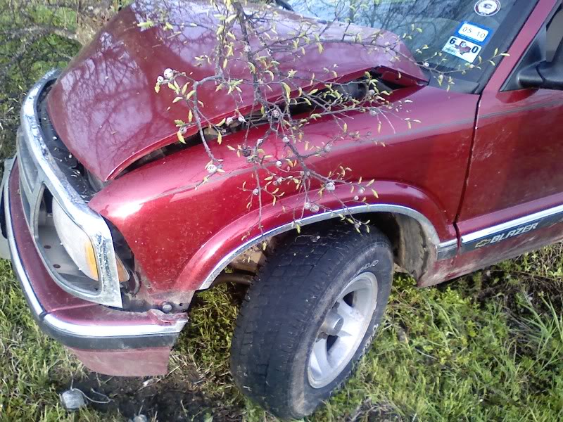 Name:  0402101846-00.jpg
Views: 850
Size:  143.5 KB