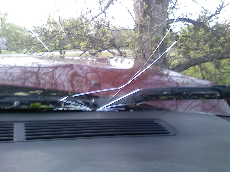 Name:  0402101917-00.jpg
Views: 561
Size:  79.4 KB