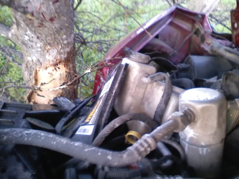 Name:  0402101917-01.jpg
Views: 515
Size:  73.0 KB