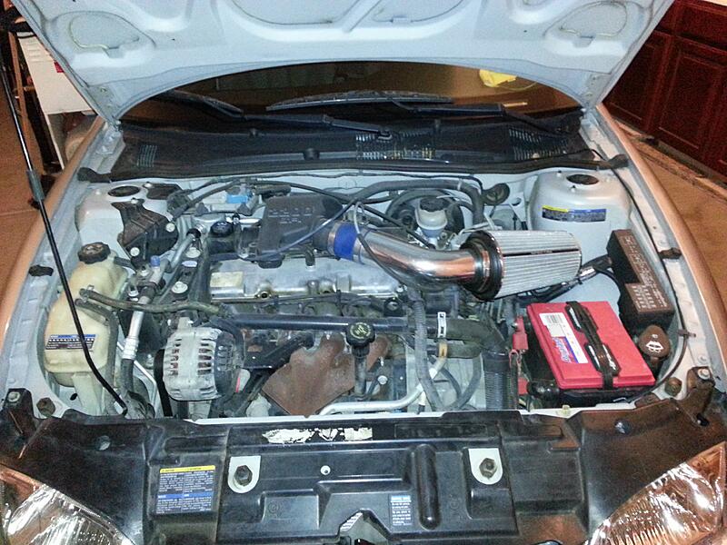 A unlikely contender. 02 Cavalier-l7is06s.jpg