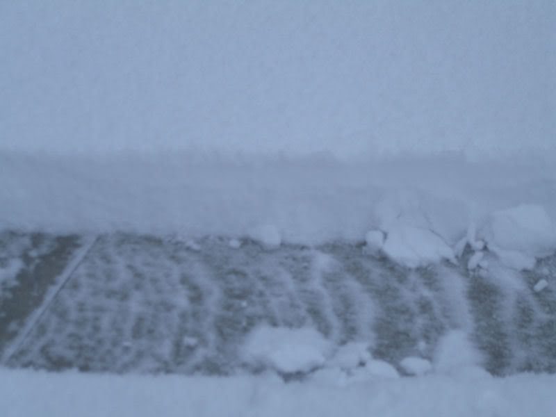 Name:  snow_depth.jpg
Views: 674
Size:  50.2 KB