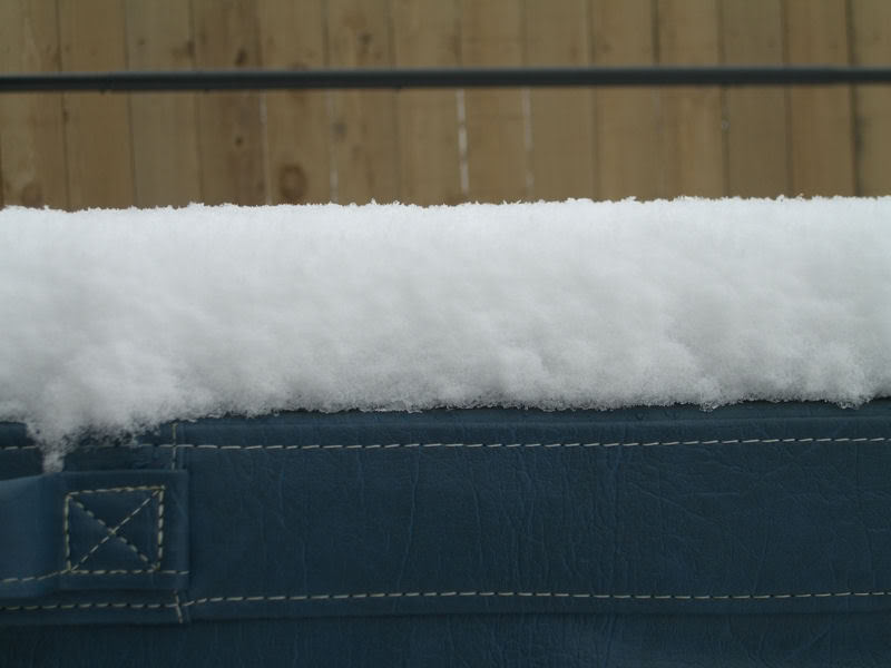 Name:  real_snow.jpg
Views: 653
Size:  67.3 KB