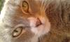 Nina Senn's Avatar