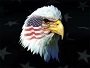 GrayFox2020's Avatar