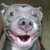 Declfier's Avatar
