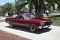 502 ELCO's Avatar