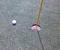 golf_ne_1's Avatar