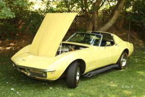 1968 Corvette Wants to Take You On a Retro Safari