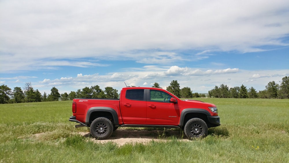 New Atlas Colorado Bison
