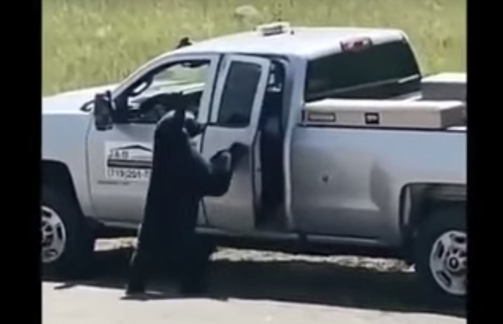 Bear Breaks In To Chevy Silverado
